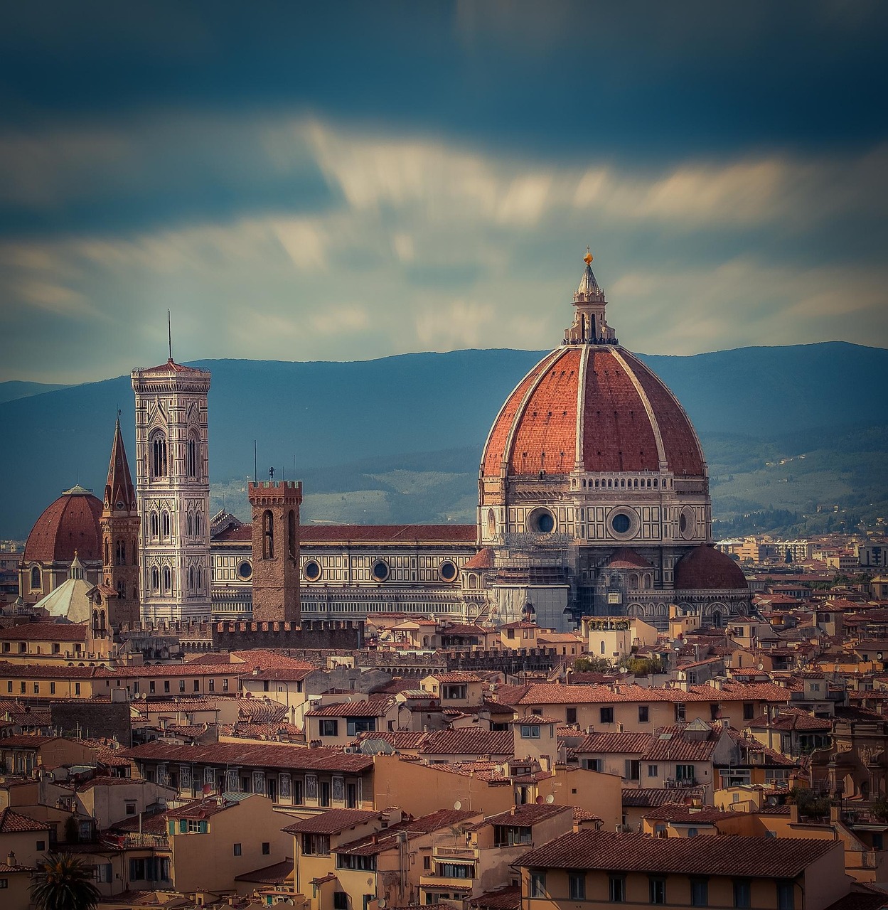 Le Volpi e l’Uva – Where We Always Meet